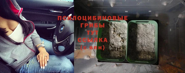 spice Лихославль